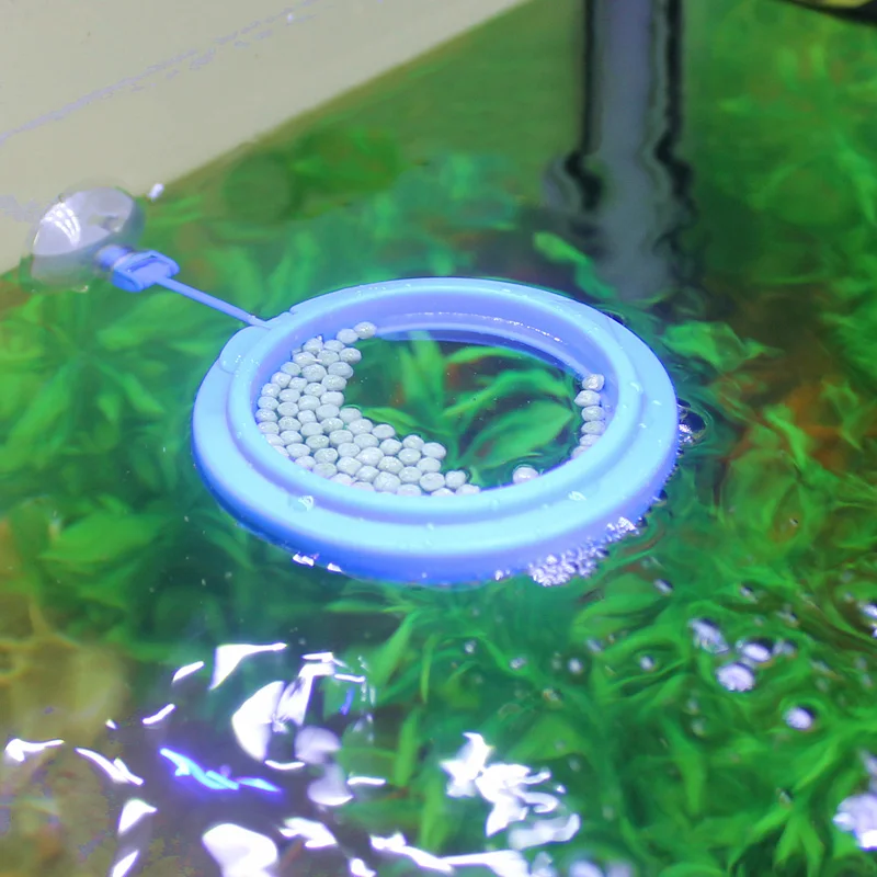 5 pcs of fish feeding ring aquarium buoyancy feed bowl fish tank