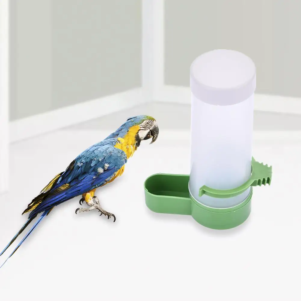 

Bird Automatic Feeder Bird Feed Box Parrot Food Water Feeder Automatic Feeding Suitable For All Kinds Of Parrots Pet Supplies