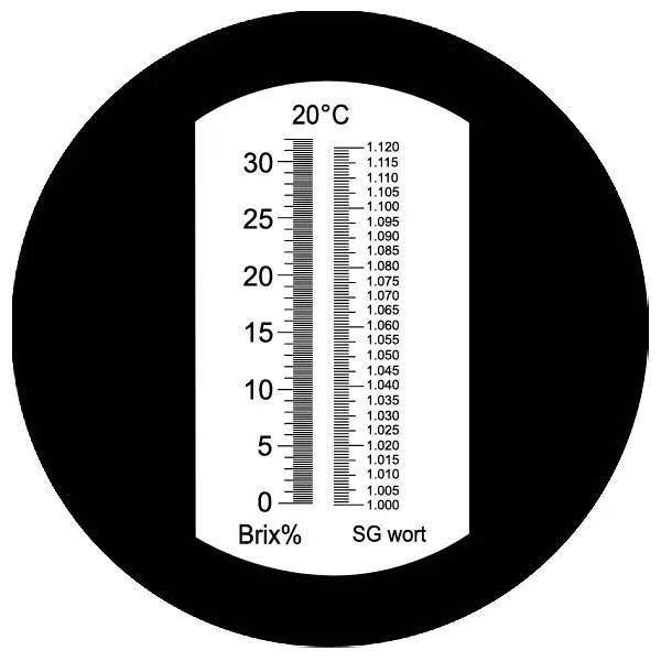 RSG-100ATC_scale