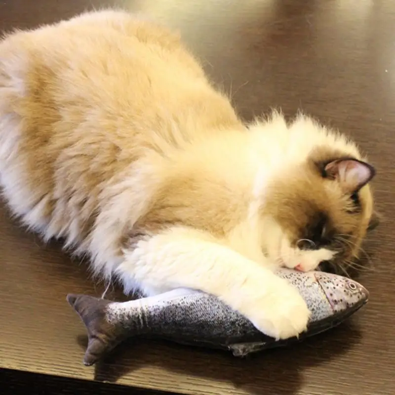 

BigSale Plush Creative 3D Carp Fish Shape Cat Toy Gift Simulation Fish Playing Toy For Pet Gifts Catnip Fish Stuffed Pillow Doll