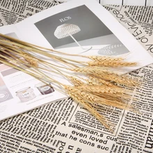 15 шт. 1 ветка пшеницы сушеная Пшеница букет фотосессия реквизит Свадебная вечеринка домашний декор с рисунком растений