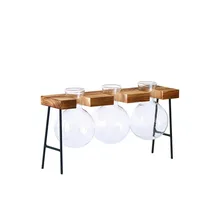 Лидер продаж, креативная стеклянная бутылка, ваза, гидропонное растение, прозрачная ваза, деревянная рамка, декор для кофейни, комнаты, стол, украшение