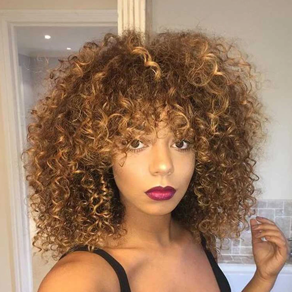 

For Black Women Lace Front Daily Curly Wig Fashion Short Heat Resistant European American Afro Kinky Mixed Brown Extensions
