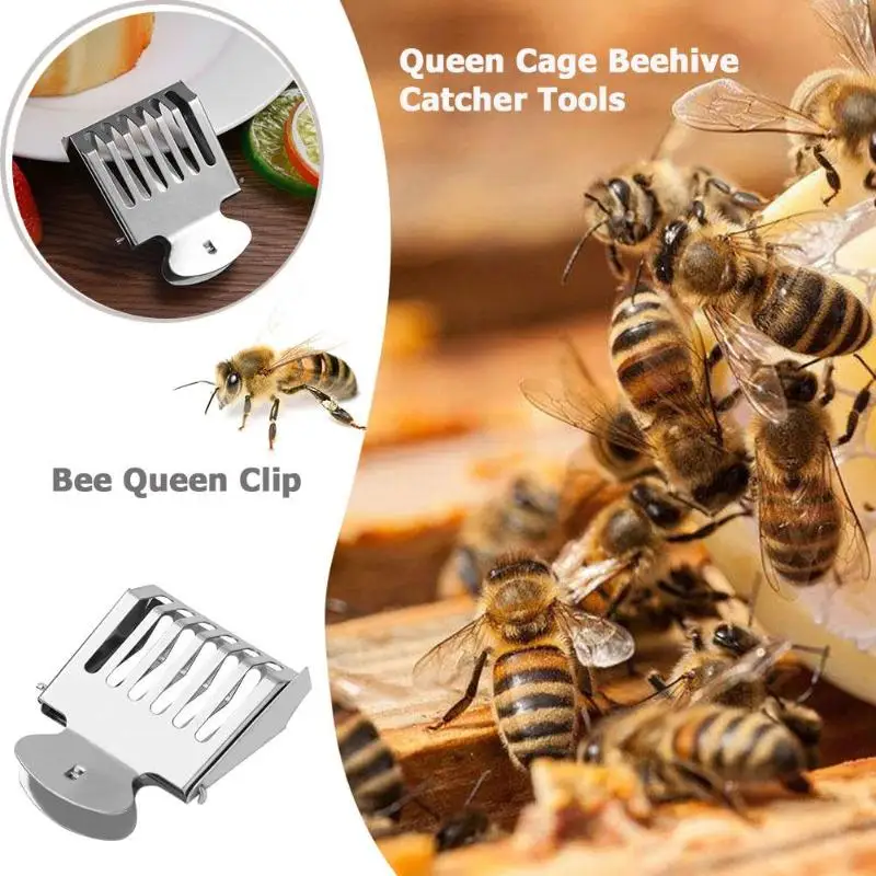 

1pc Pro Stainless Steel Bee Queen Clip Apiculture Beekeeping Bees Queen Cage Beehive Catcher Tools