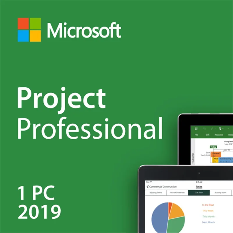 Microsoft Office Project Professional загрузка лицензионного ключа цифровая 1 пользователь