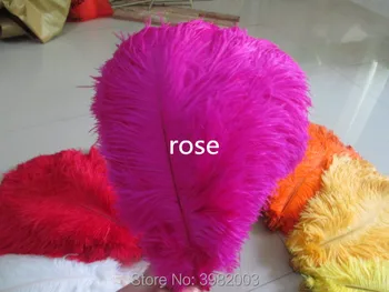 

Wholesale 100 pcs Wedding Birthday Party rose Ostrich Feather 12-14 inch / 30-35 cm Free Shipping
