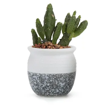 

Ceramic Mini Korea Style Snow Serial Succulent Plant Pot Cactus Plant Pot Flower Pot Container Planter