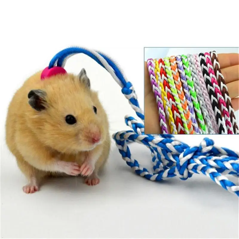 

Pets Traction Rope Twist Model Traction Rope For Training And Going Out Prevent Pets From Lost Applications For Small Pets