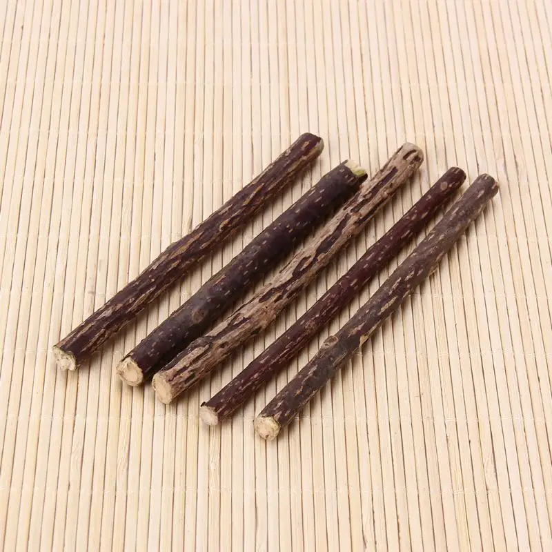 5pcs Pure Natural Catnip Pet Cat Molar Toothpaste Stick Cat Cleaning Teeth Silvervine Actinidia Fruit Matatabi Products for Cats