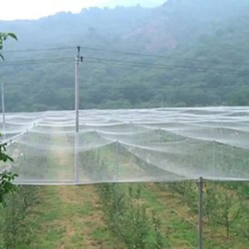 

5x5/10m Anti-bird Hail net For Grape Orchard Cherry Tree Fish Pond Breeding Protective PE Polyethylene Net Garden Supplies