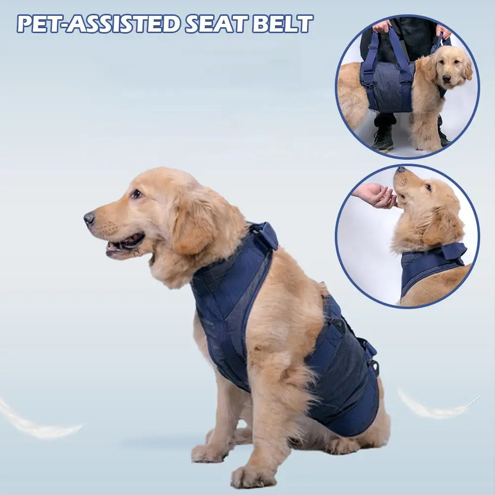 

Pet Auxiliary Safety Pet Dog Lifting Harness Auxiliary Belt For Injury Rehabilitation Elderly Dogs Safety Walking Pet Supplies