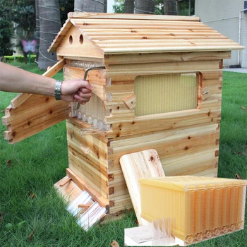 خلية النحل الخشبية الأوتوماتيكية 7 قطعة إطار خلية النحل معدات تربية النحل الخشبية خلية النحل أداة تربية النحل