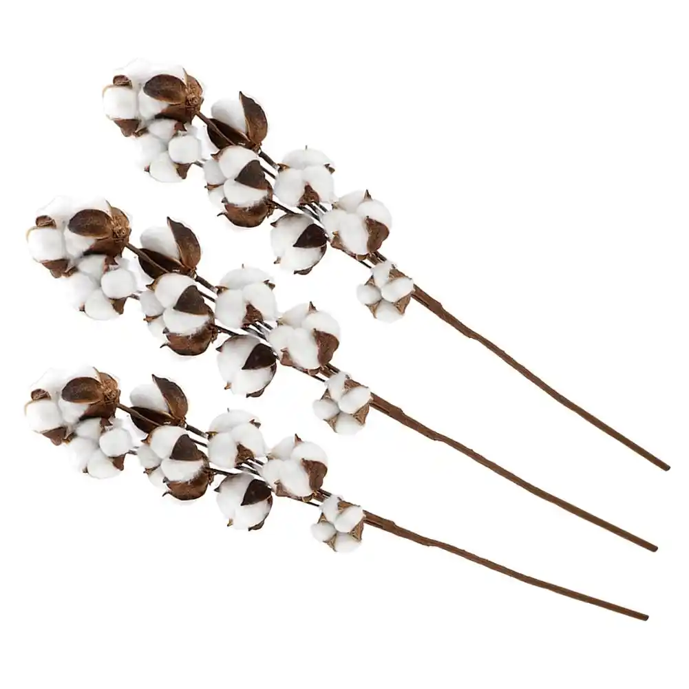 3pcs 10 bolls natural cotton stems kapok dried flowerfestive