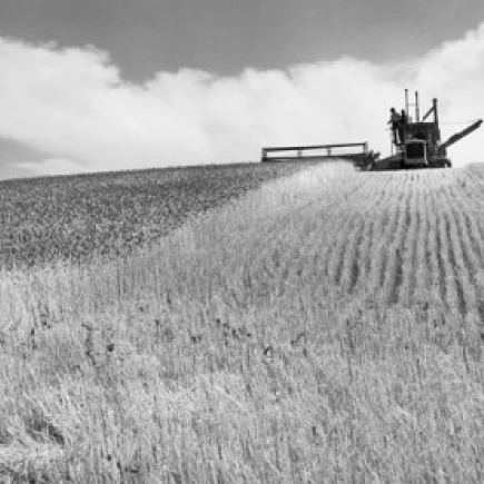 Combine harvester harvesting wheat crop Walla Washington State USA Poster Print (24 x 36) | Дом и сад
