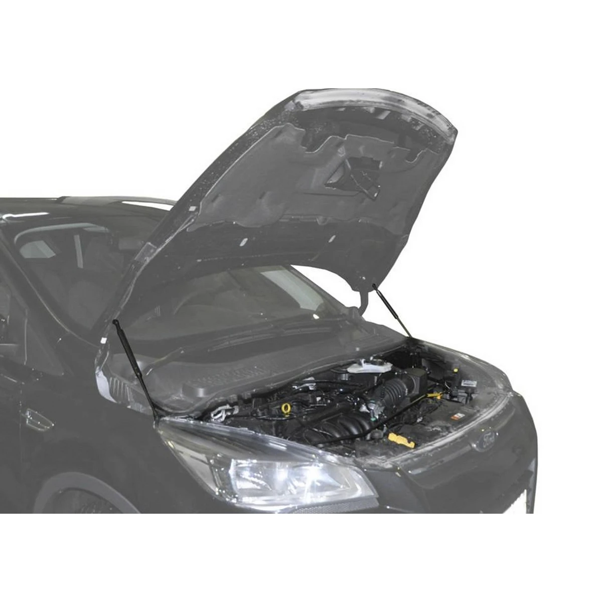 Упоры капота Rival A.ST.1803.1 (для Ford Kuga способствуют плавному открытию/закрытию
