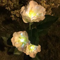 Новинка 2019 года творческий светодиодный свет камелии цветок Открытый Садовая аллея декоративные газон лампы обеспечить ночное освещение