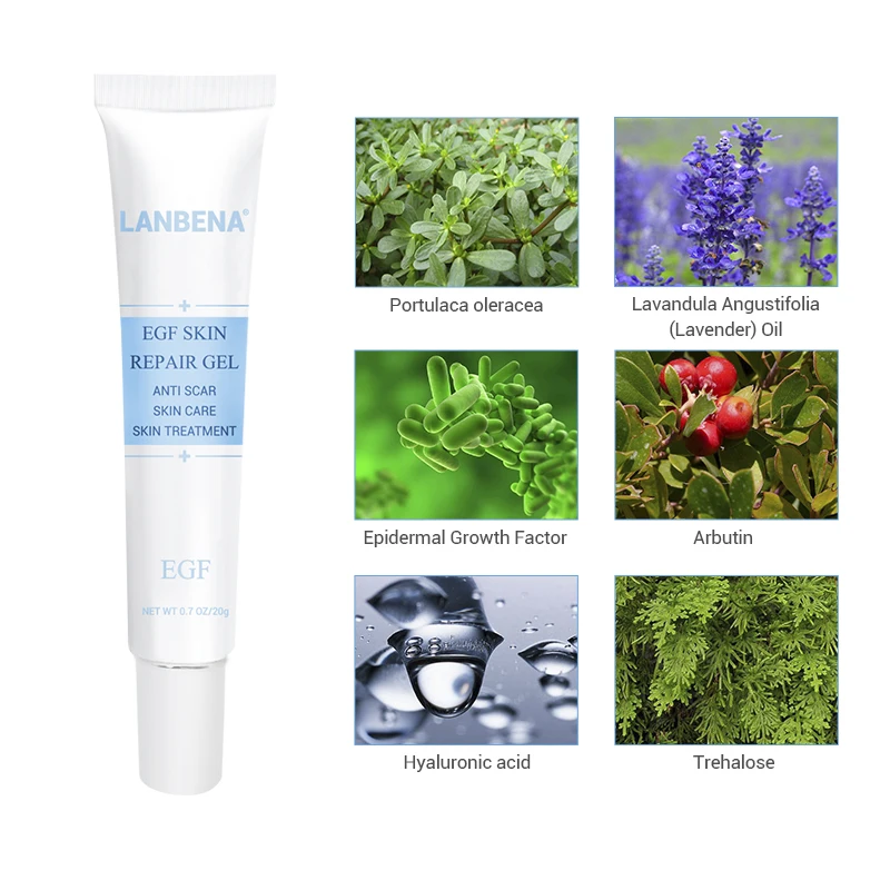Lanbena Egf Remover Scar Cream Stretch Mark Gel Anti Acne Cream Acne Treatment Blackhead Whitening Skin Care Repair Face Cream Lanbena Egf Remover Scar Cream Stretch Mark Gel Anti Acne Cream Acne Treatment Blackhead Whitening Skin Care Repair Face Cream