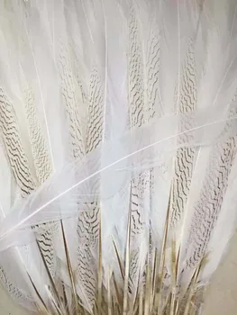 

50pcs/lot 30-35cm White silver pheasant feathers Lady Amherst Pheasant Tail Feathers infdDIY craft/jewelry making