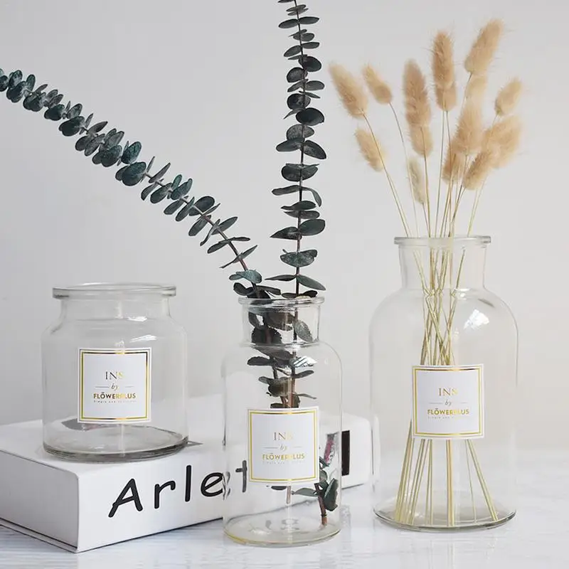 Simple Fashion Glass Vase Nordic Style Frosted Hydroponic Photo Props Transparent Hot Stamping Glass Vase Home Decoration