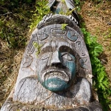 Friendly Cove Nootka Ванкувер Британская Колумбия плакат печать Дуглас пиблз