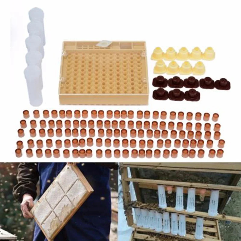 143PCS Bee Queen Rearing Cupkit Box System Cell Cups Beekeeping Boxes