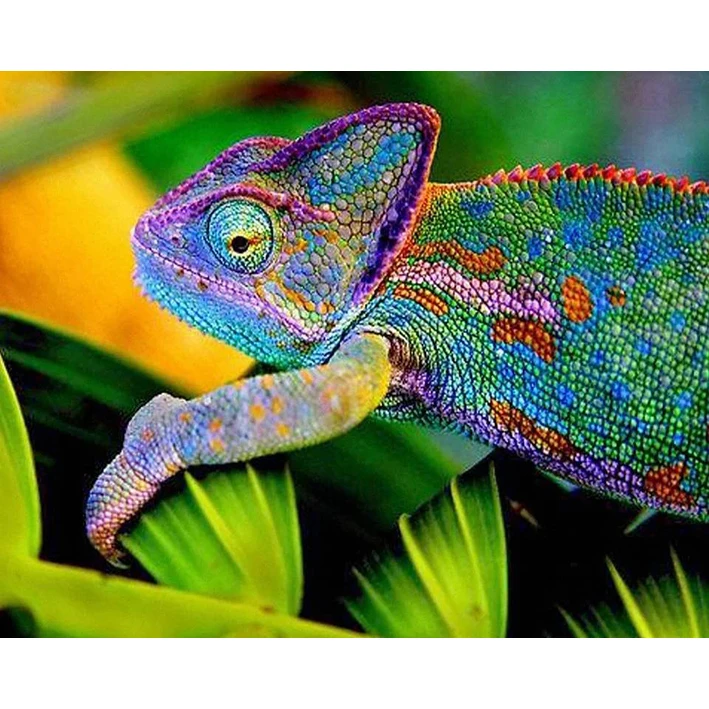 тест хамелеон с ответами.