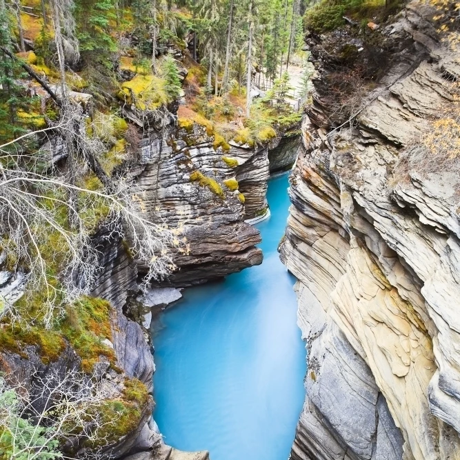 Athabasca Falls/River Jasper National Park Alberta постер печать (11x17)|Таблички и знаки| |