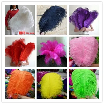 

Wholasale 10pcs/lot Elegant White ostrich feathers 55-60 cm for craft wedding party supplies Carnival dancer decoration plumages
