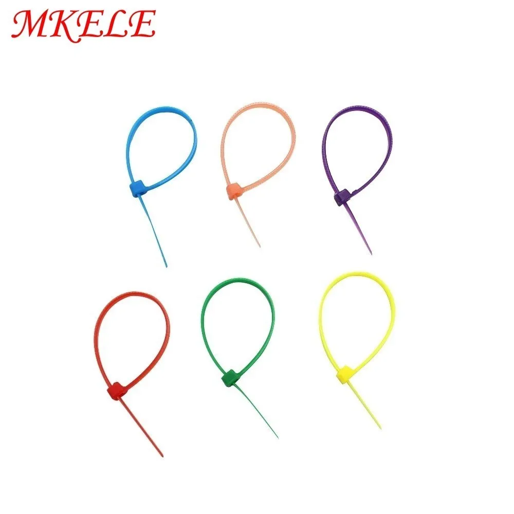 

Free Shipping 3*100mm Colorful Nylon Cable Ties Cable Wire Tie Self-Locking Plastic Tie Zip Ties 6 colors Of Package