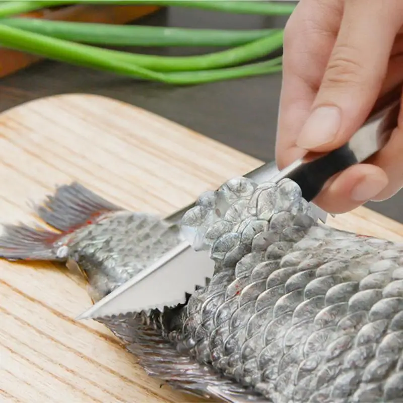 Buy Stainless Steel Fish Scale Peeler Flake Fillet