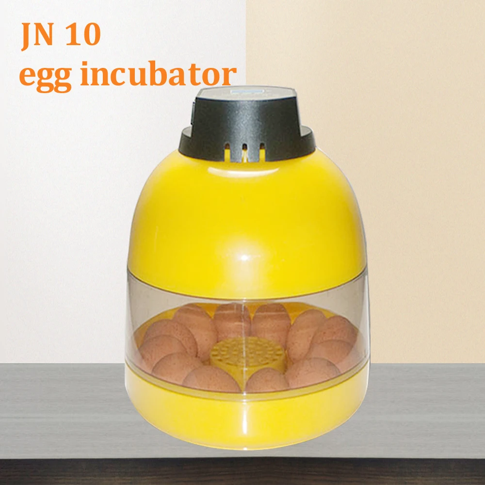 

Home Use Mini Egg Incubator High Hatching Rate Hatchery Machine Chicken Duck Quail Parrot Egg Hatcher