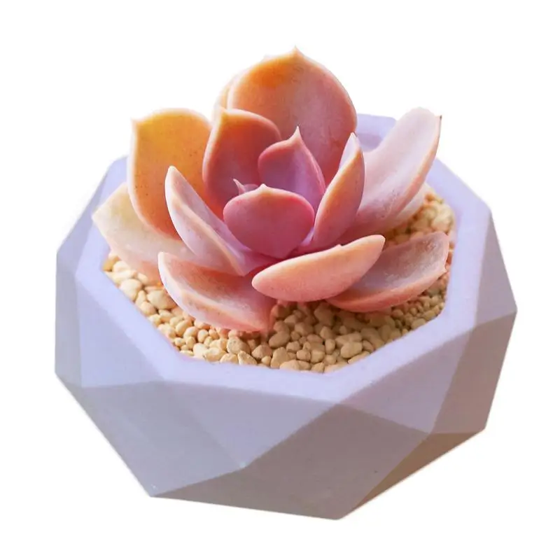 Clay Cement Silicone Mold Concrete Flower Pot Decorative Geometric Polygonal Succulent Plants Vase Mold Office Home Decoration