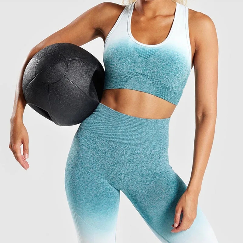 

Ombre Seamless Sports Bra Push Up Gym Women Girls Fitness Bra Padded Energy Seamless Crop Top Femme Shark Yoga Bra Tops
