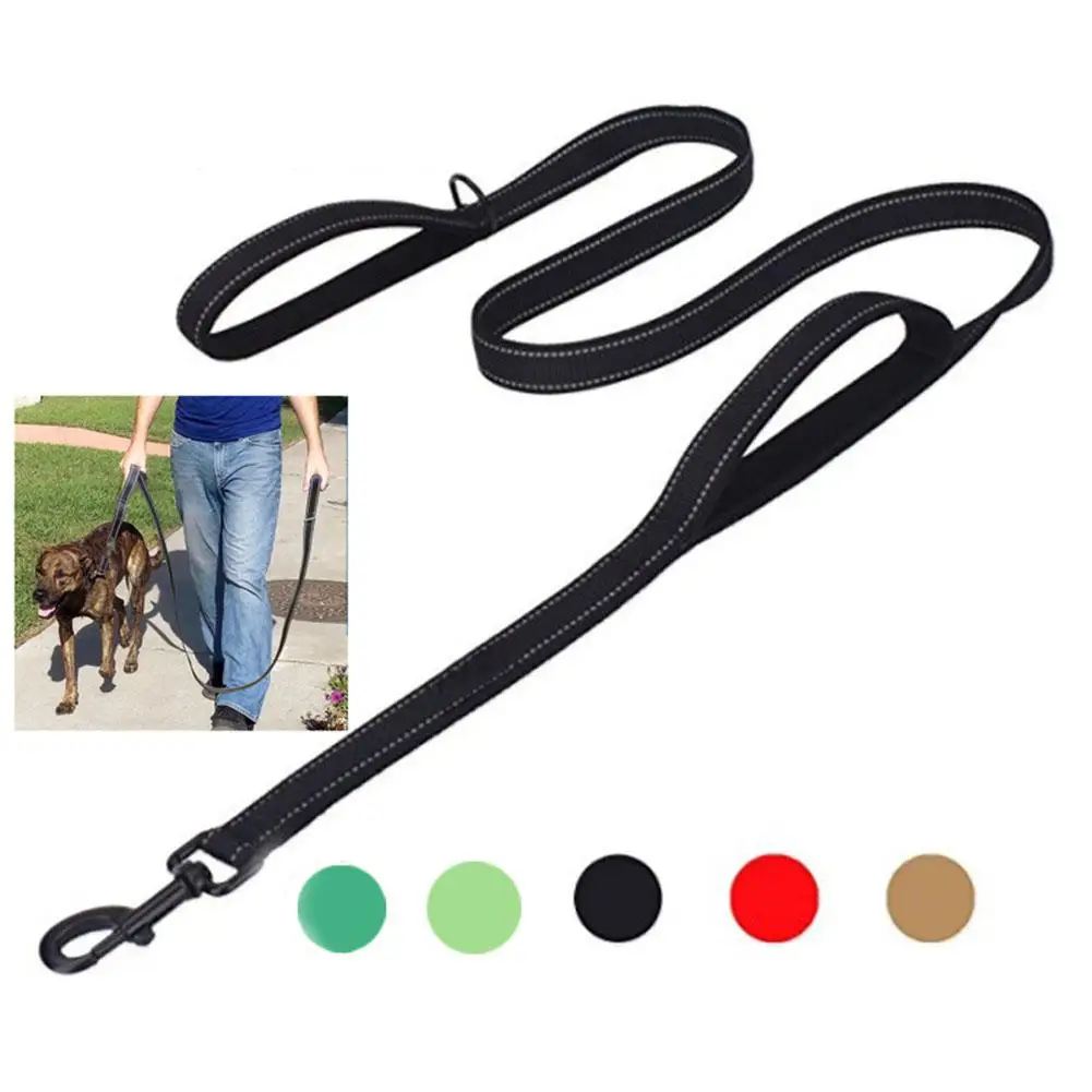 AsyPets Thicken Nylon Double Handle Pet Lead Leash with Clip for Large