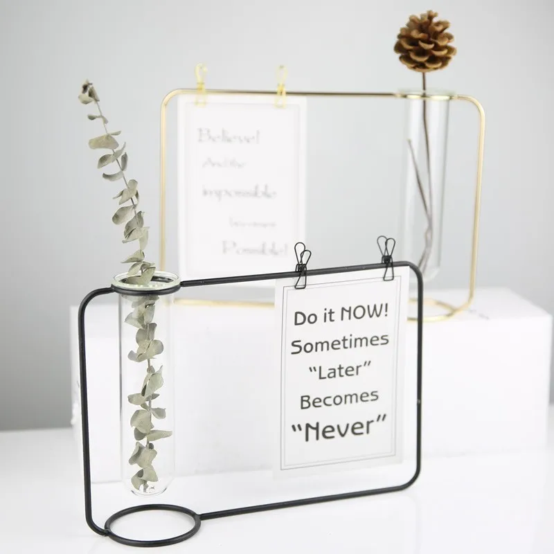 

Creative Transparent Test Tube Hydroponic Vase Metal photo frame Glass Plant Vase Crystal Terrarium Container Decor Home Garden