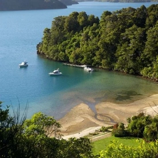 Whenuanui Becks Bay Marlborough Sounds South Island Новая Зеландия печать Дэвида Уолла (24x36) | Дом и сад