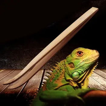 

New Reptile Wood Tweezers Clips Feeding Tools Frog Spider Tool Litter Terrarium Cleaning And Feeding Dropship