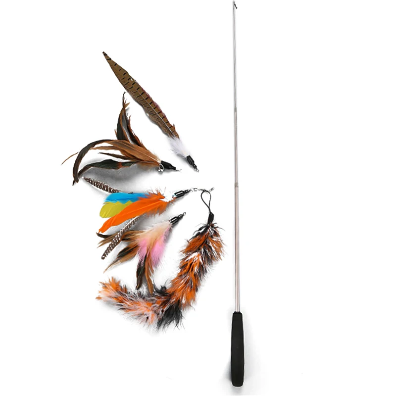 Practical Katten Speelgoed Funny Set Fishing Rod Retractable Feathers Make 5 Replaced Heads Set Feather Cat Pole Toys Sets