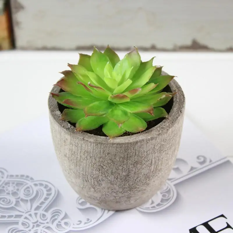 

Mini Potted Plant Desktop Pot White Ceramic Basin Simulation Artificial Succulents Decorative Ornaments Variety