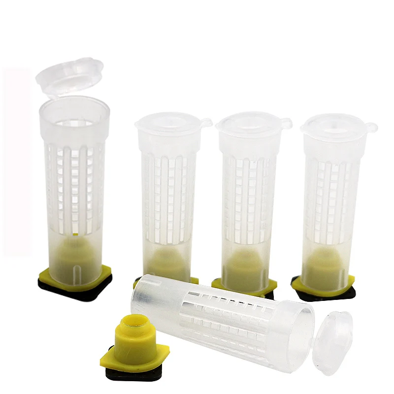 

Beekeeping Rearing Cup Kit 20pcs/100pcs Queen Bee Hair Roller Cages Cell Cup Holder And Cell Fixtures Beekeepers Equipment