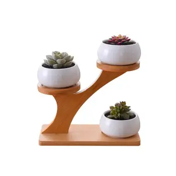 

AUGKUN 1 Set Simple White Round Ceramic Garden Pot Modern Decorative Nursery Succulent Plant Pot and Treetop Bamboo Holder