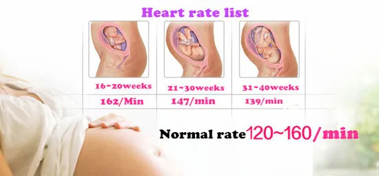 heart rate_.jpg