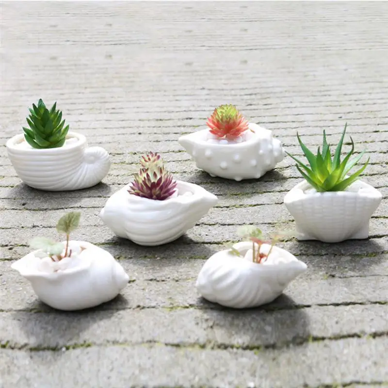 

6PCS Ceramic Thumb Flower Pot Succulent Pot Set Creative Lovely Conch Shape Plant Pots Plant Containers Home Gardening Supplies