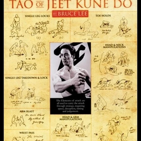 Брюс Ли-Тао из Jeet Kune Do ламинированный и Обрамленный плакат (24x36) | Дом сад
