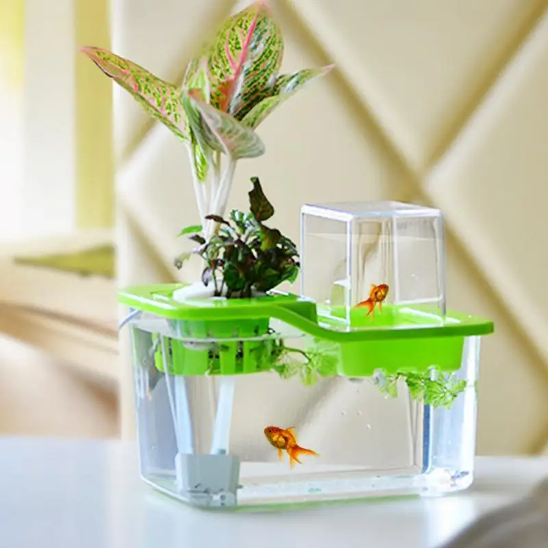 

Aquarium Water Plant Grass Fish Tank Vegetables Symbiotic Desktop Convenient Fish Ecological Landscaping Fish Tank Grows Plants