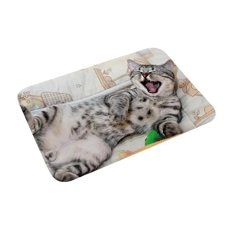 3D коврик для двери с принтом кошки и собаки, мягкий мини-коврик для кухни, противоскользящий ковер, коврик для ванной комнаты, 40*60 см