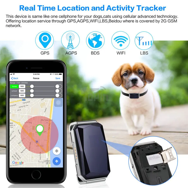 Traqueur GPS intelligent multifonctionnel pour animaux de