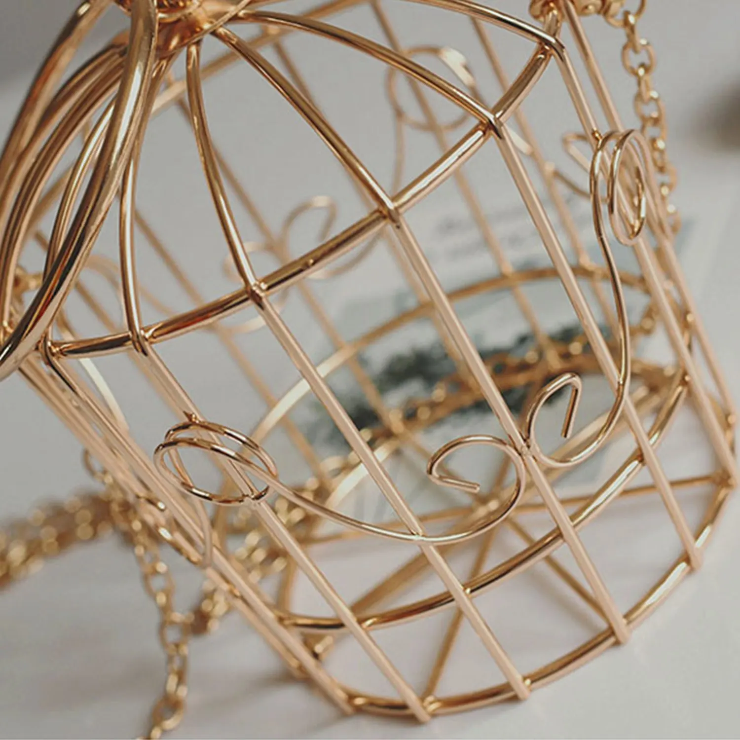 FGGS شخصية الطيور قفص النساء حقيبة يد حمل المعادن قفص الفتيات أعلى-حقائب بيد محفظة نسائية للعملات المعدنية الأزياء حزب الحقيبة شرابة مخلب FGGS شخصية الطيور قفص النساء حقيبة يد حمل المعادن قفص الفتيات أعلى-حقائب بيد محفظة نسائية للعملات المعدنية الأزياء حزب الحقيبة شرابة مخلب