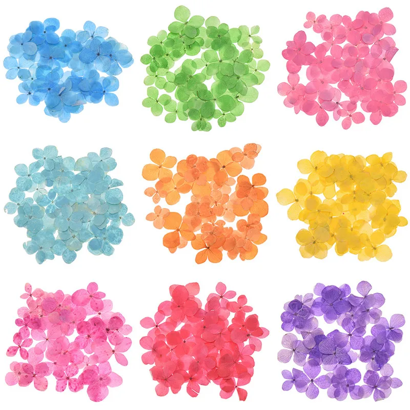 

30pcs Hydrangea Dry Flower Colorful Press Flower Decoration Party Supplies Decoration Drop Shipping