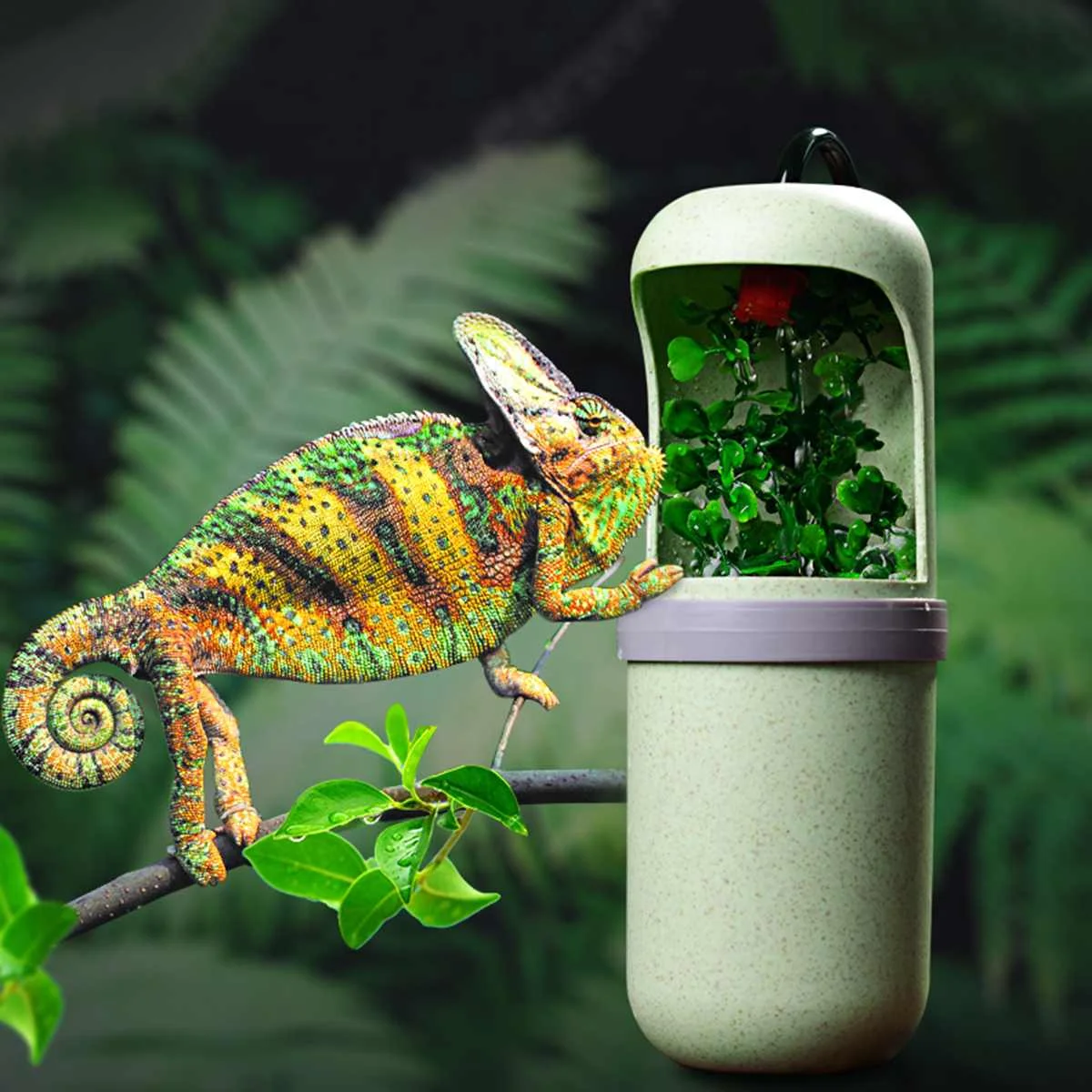 

Automatic Water Drinking Reptile Drinking Water Fountain Lizard Chameleon Feeding Dispenser Terrarium Amphibian Habitats 21X7cm